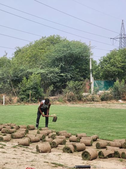 Delhi Gardner - Wholesale Plant & Turf Supply Natural Grass Turf: From Our Farm to Your Project photo 43