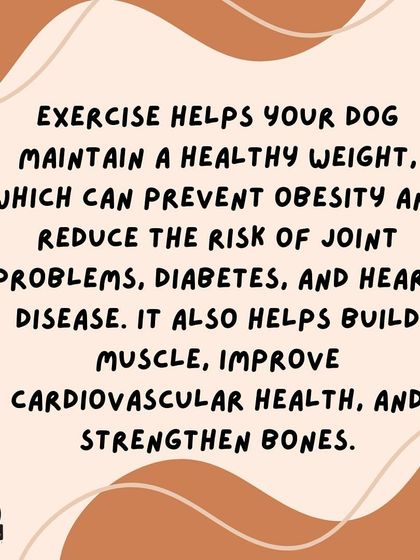 Anvis - Dog Boarding Helpful Tips for Pet Parents photo 6