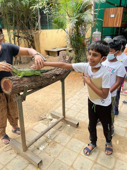 Siksha Montessori - Montessori Elementary School Program (Ages 6+) Exploring Our World: Science & Nature photo 3