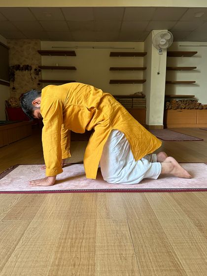 From a neutral tabletop position, this image shows the preparation for Bitilasana (Cow Pose). This initial posture helps align the wrists, shoulders, and knees, ensuring a safe and effective stretch for the spine.
