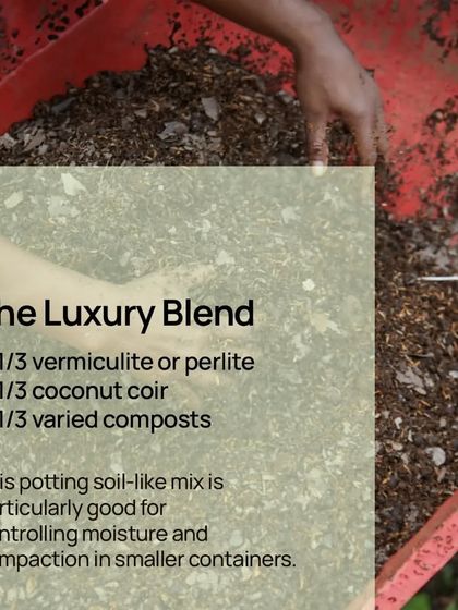 Potting Mixes & Soil Additives photo 13