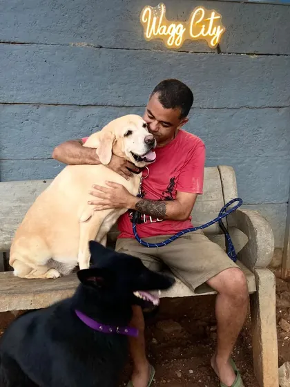 This is Cookie, just before he left for his new life in Canada. It’s more than just adoption; it’s about making a real connection. I get to know every animal personally, so I can help you find a companion who truly fits your life.
