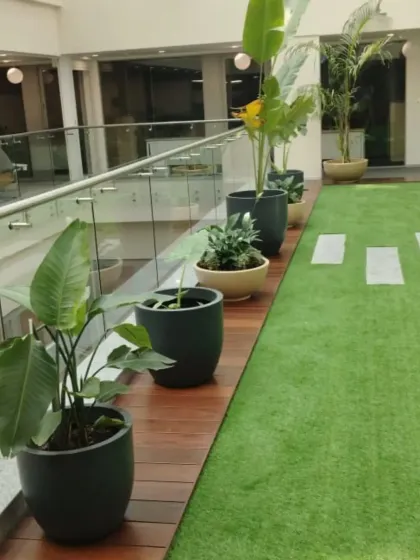 We create layered green designs for large indoor spaces like atriums and mezzanines. A mix of tall plants and low bowl arrangements in contemporary planters adds depth and visual interest to this corporate common area.