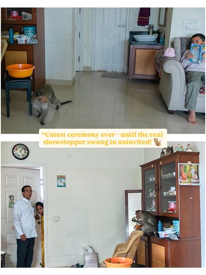 And then, this happened. An uninvited monkey swung in, helped himself to the fruit, and gave the entire family a story they will never forget. Capturing the unexpected is part of the fun.