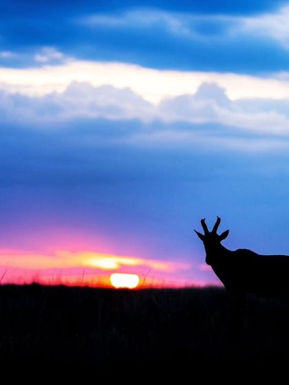 The Art of Seeing: Creative Compositions photo 17