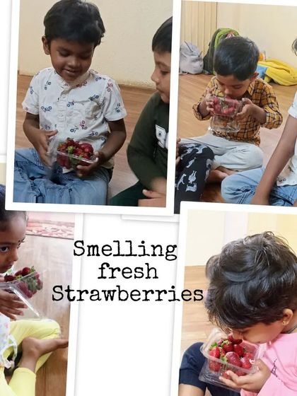 Tiny Mustards - Montessori Preschool Program Practical Life Skills: Kitchen Adventures photo 79