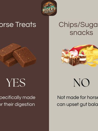 It's always best to use treats specifically made for a horse's digestive system. Human snacks like chips and sugary cakes can upset their gut balance and should be avoided.