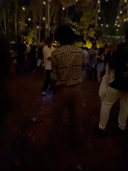 A duplicate of the crowd dancing shot at Echoes of Earth.