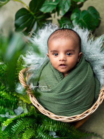An alert newborn boy wrapped in green, peeking out from a basket surrounded by lush foliage.