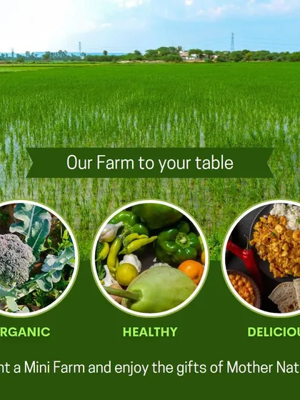 This is our promise: organic, healthy, and delicious. From the sprawling green fields of our farm directly to your family's table, we make the farm-to-table journey a reality. You can taste the freshness in every bite.