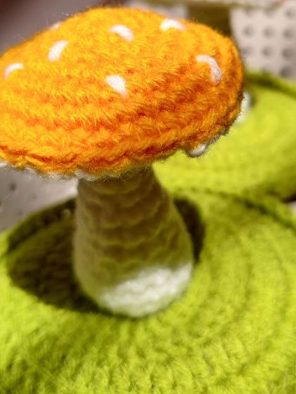 A close-up of the yellow mushroom top.