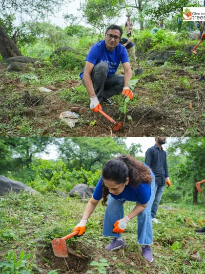 Marsh India volunteers digging in. We ensure everyone learns the correct technique for planting saplings to maximize their chances of survival.