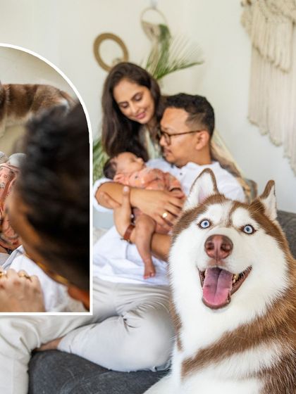 Pawparazzi By Prathima - Maternity & Newborn Photography with Pets Newborns & Their Furry Guardians photo 4