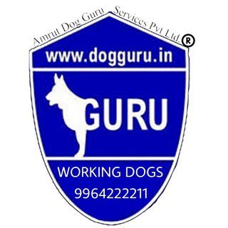Dogguru Dog School