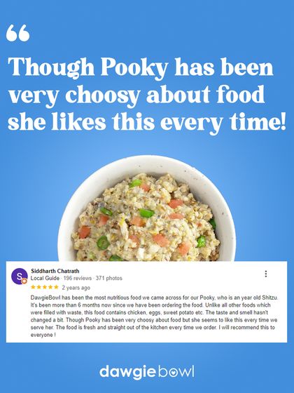 Fussy eaters are one of my favorite challenges! I craft our meals to be so delicious and aromatic that even the choosiest pets, like Pooky the Shih Tzu, can't resist. It’s a joy to know she loves her food every single time.