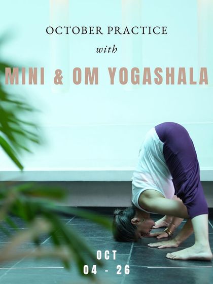 Online Classes: Practice From Anywhere photo 34