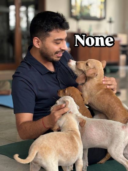 There's no such thing as too many puppies. A participant is covered in a pile of cuddling, playful pups.