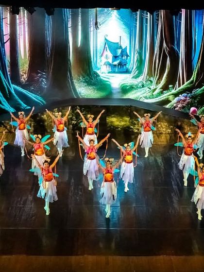 Lewis Foundation of Classical Ballet - Event Performances & Productions Full-Scale Ballet Productions photo 8