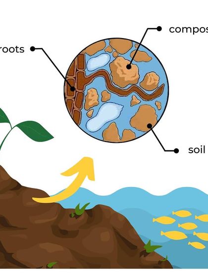In contrast, this graphic shows how organic compost enriches the soil naturally. It improves soil structure and nutrient availability for plant roots without causing harm to the surrounding ecosystem, leading to healthier plants and a healthier planet.