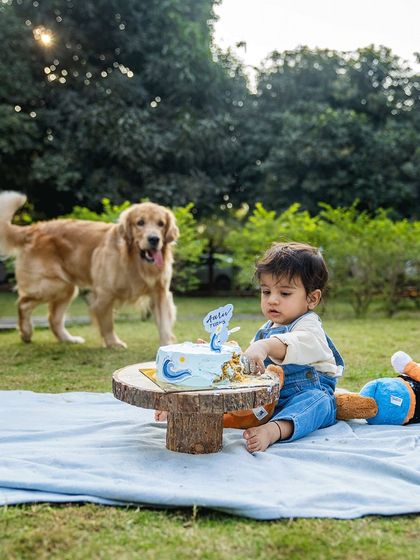 A perfect shot of baby Aariv at his first birthday picnic, with his loyal Golden Retriever, Ollie, standing watch in the background. A beautiful memory of a lifelong friendship.