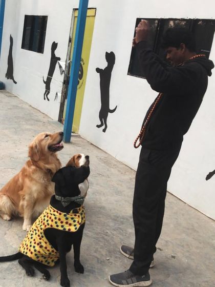 The magic of treats! Our photographer is getting the perfect shot with a little help from some snacks.