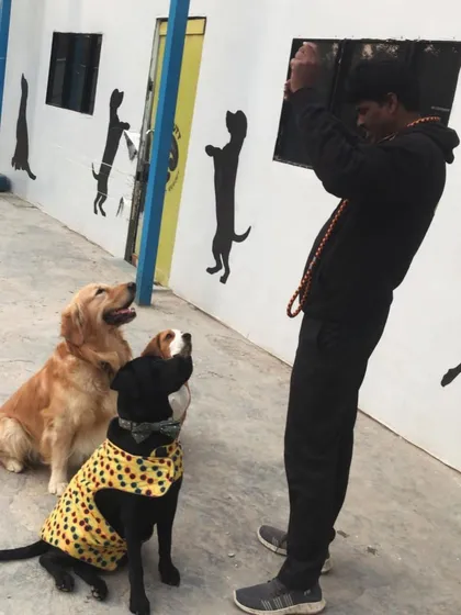 The magic of treats. A snapshot of a training session where everyone is paying close attention to the treat master.