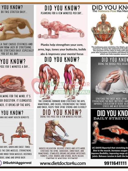 Did you know that daily stretching has amazing benefits? This detailed chart explains how different stretches can relieve back pain, improve digestion, and increase blood flow to your muscles.