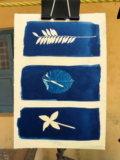 A beautiful cyanotype photogram created during a workshop with young photographers as part of the Our Shared Cultural Heritage (OSCH) programme. Participants used local botanicals to create their prints.