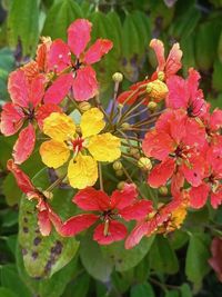 Landscaping & Plantscaping