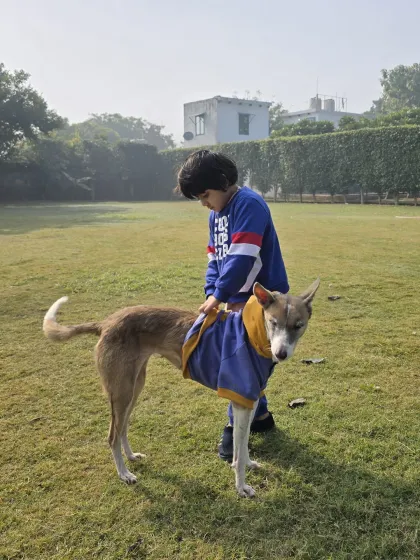 A child gently petting a dog, a heartwarming sight at our family-friendly facility.