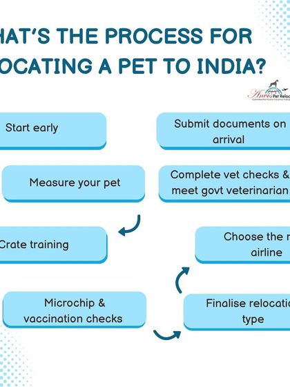 Anvis - Pet Relocation Our Relocation Process: Step-by-Step photo 6