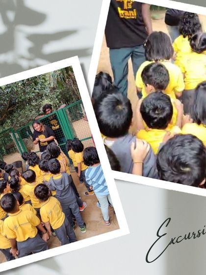 Ace Montessori - Summer Camp Outdoor Adventures & Excursions photo 22