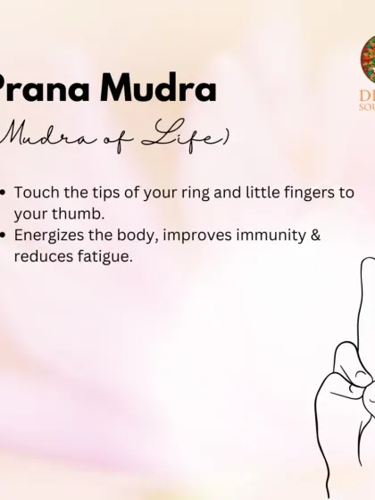 Prana Mudra is the Mudra of Life. Touching the tips of your ring and little fingers to your thumb helps to energize the body, improve immunity, and reduce fatigue.
