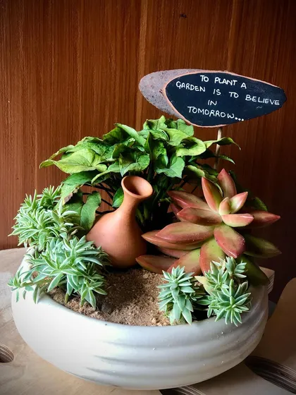 To plant a garden is to believe in tomorrow. I love adding little signs with meaningful quotes to my gardens. It's a nice reminder every time you look at your plants.
