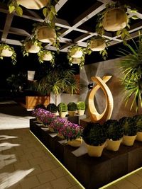 Residential Garden Design