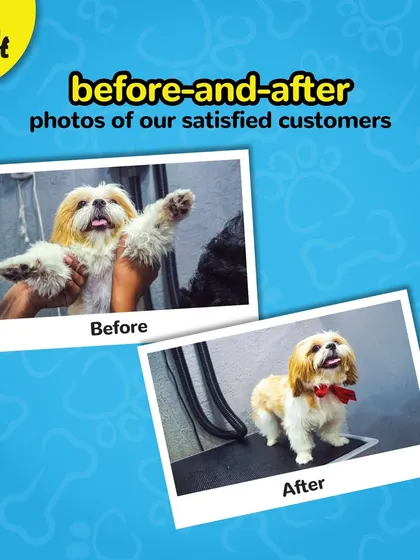 This is the kind of before-and-after that makes us love our job. We take pride in revealing the adorable face hidden under all that fur.