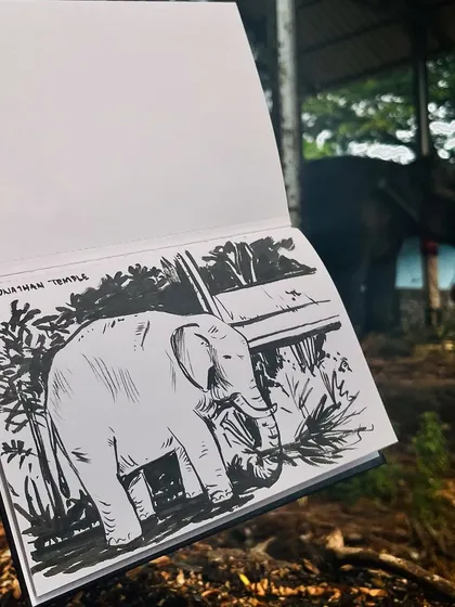 Another sketch of the temple elephant in Thrissur. I used a brush pen to create bold lines and textures.