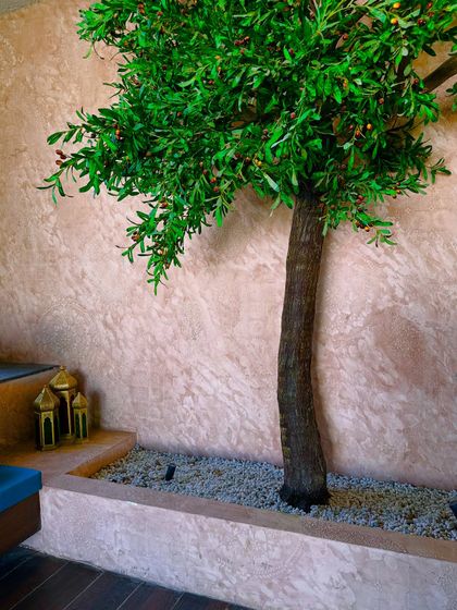 Intimate Courtyards & Balconies photo 15