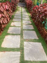 Landscaping & Garden Design