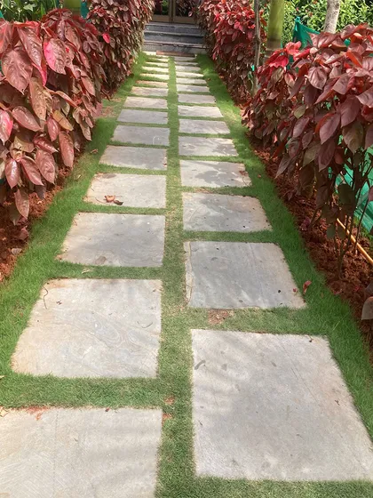 A well-designed path guides the eye and creates a sense of order in a garden. For this project, I laid stone pavers with grass joints, flanked by vibrant red-leafed ornamental shrubs to create an elegant and functional walkway.