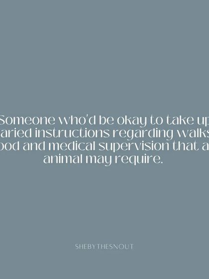 Aditi - In-Home Pet Sitting Join the Team photo 6