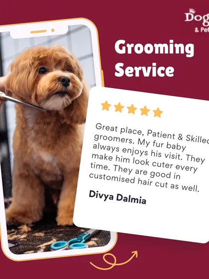 Nothing makes me happier than a glowing review from a pet parent. This feedback highlights my patient and skilled approach, and how I work to give every fur baby a customized haircut that makes them look even cuter.