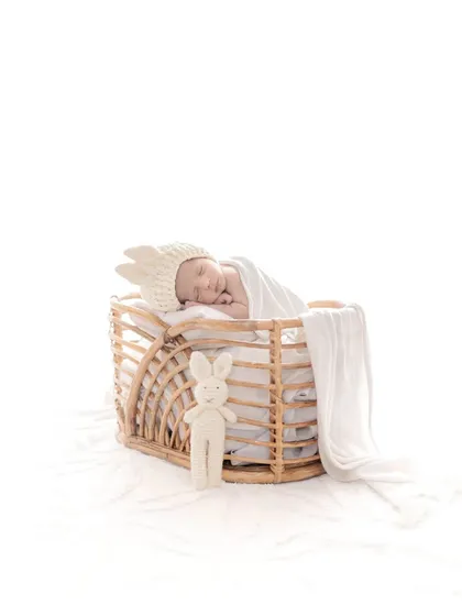 A newborn wearing a tiny crown sleeps in a rainbow-shaped wicker bassinet. This portrait is both regal and adorable, capturing the baby as the precious new prince or princess of the family.