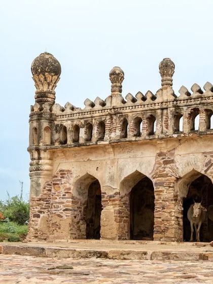 The Charminar of Gandikota, a beautiful structure with intricate carvings, where you might even spot some local animal residents.