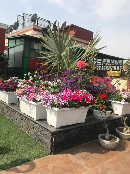 Our designs are defined by vibrant color and meticulous detail. This rooftop terrace garden is a testament to our passion for floriculture, featuring an abundant display of seasonal flowers in elegant white planters.