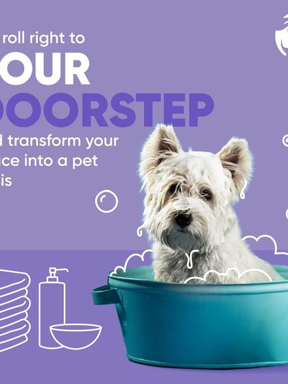 Chasing Tails - In-Studio Pet Grooming & Spa Mobile Grooming: The Furcare Cruiser photo 6