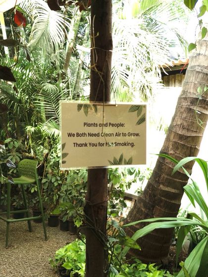 Our Plant Nursery photo 11