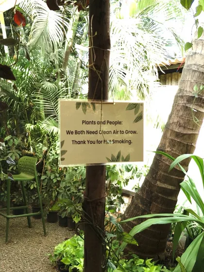 Plants and people: we both need clean air to grow. That's why our space is a strict no-smoking zone, to keep our plants and our customers happy and healthy.