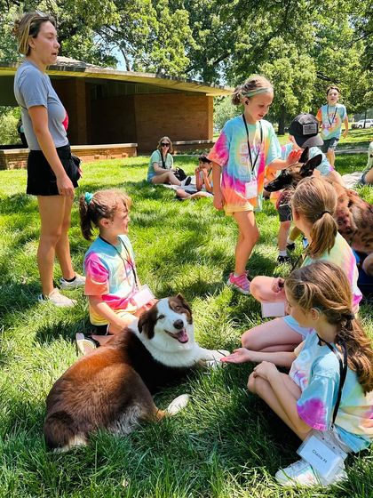 Tulsa Dog Trainer - Immersive Board & Train Programs Community Events & Pack Life photo 15