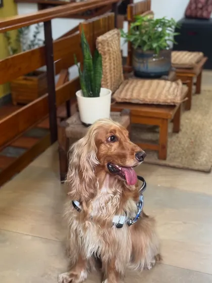 Posto looking handsome and relaxed in the rustic ambiance of our Santiniketan stay.